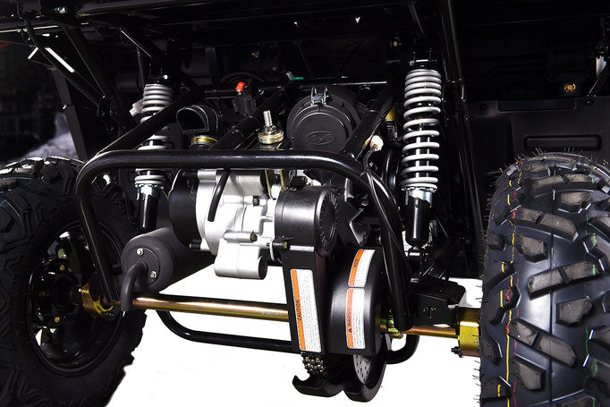 Crossfire 200 EFI with Dump Bed - Image 7
