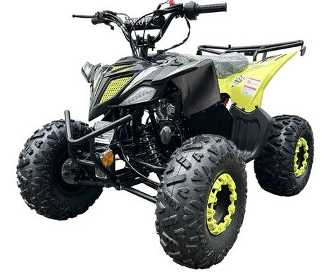 Pioneer 125cc ATV - Image 6