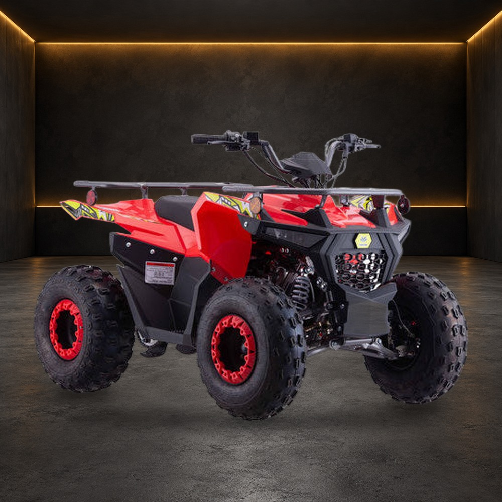 PENTORA IRIDE UT 125cc ATV in the Family Funsports showroom