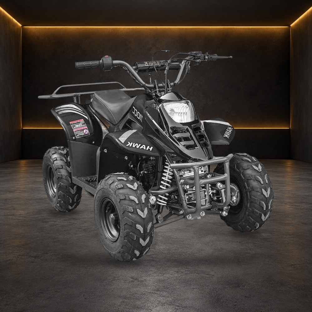 Hawk 110cc ATV without Reverse in the Family Funsports showroom
